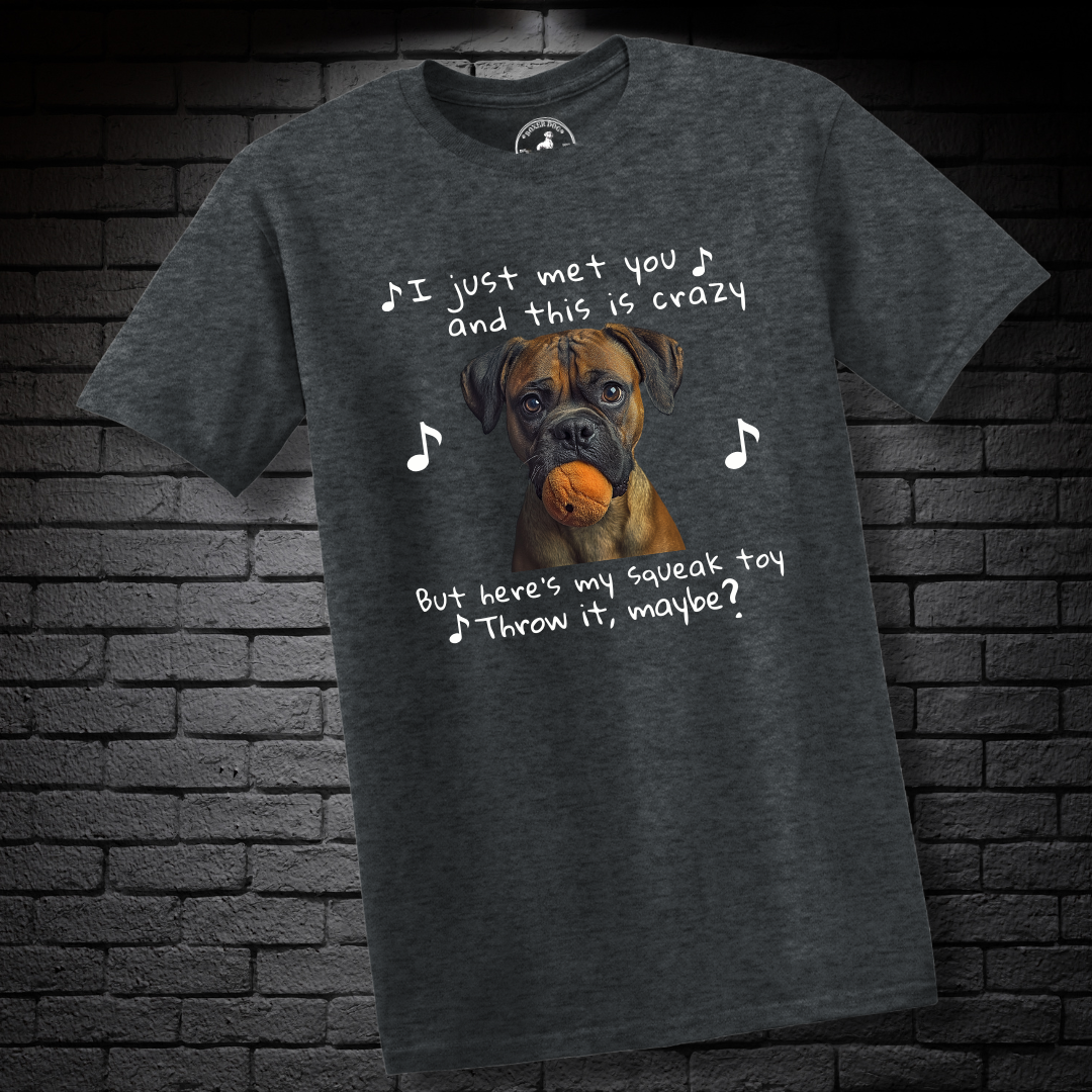 I just met you and this is crazy. But here’s my squeak toy. Throw it maybe? – Boxer Dog Classic Shirt