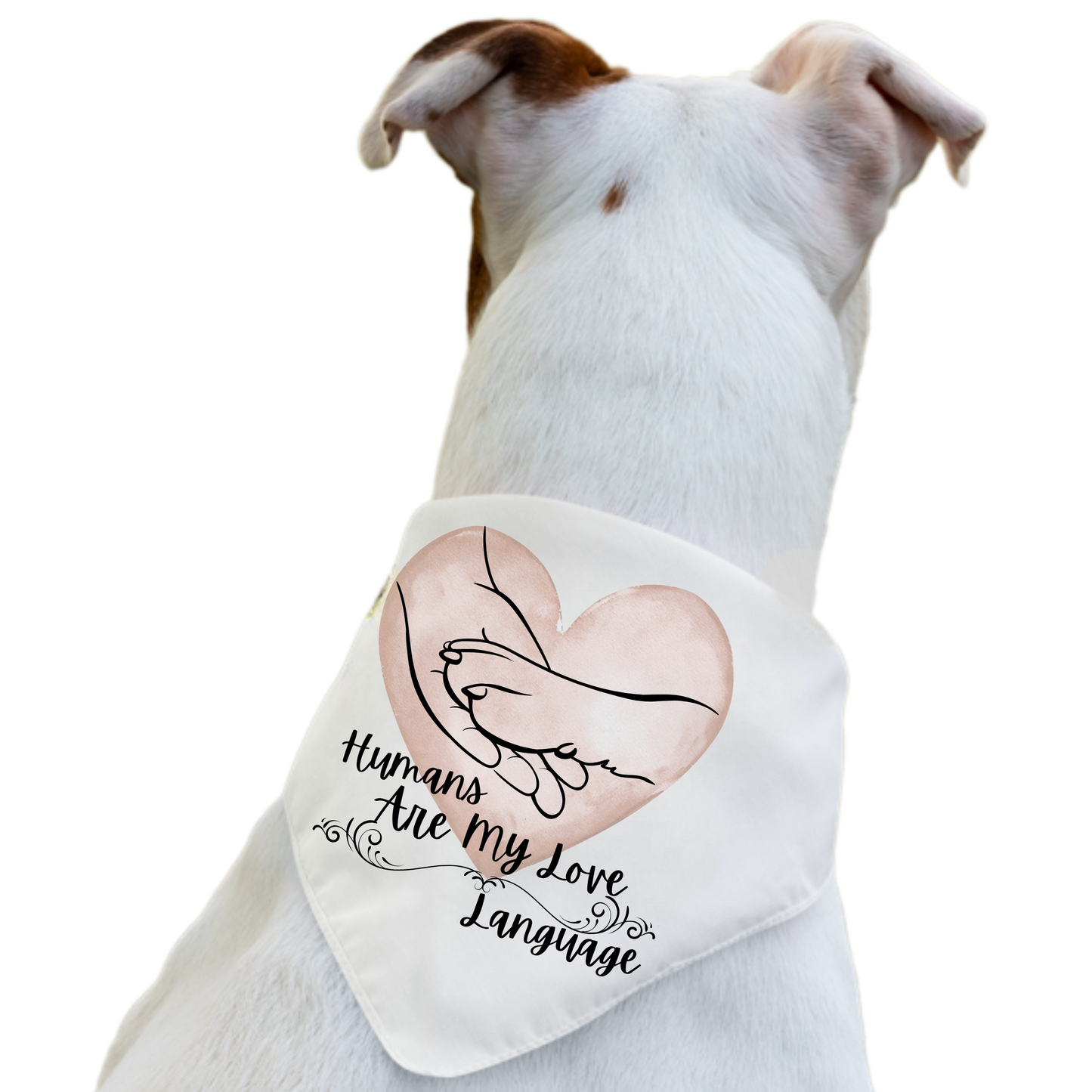 Humans Are My Love Language – Pet Bandana