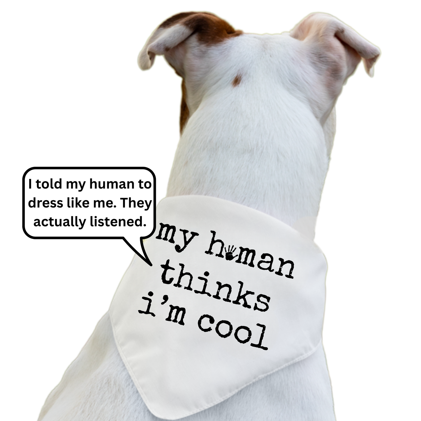 My Human Thinks I'm Cool - Boxer Dog Pet Bandana