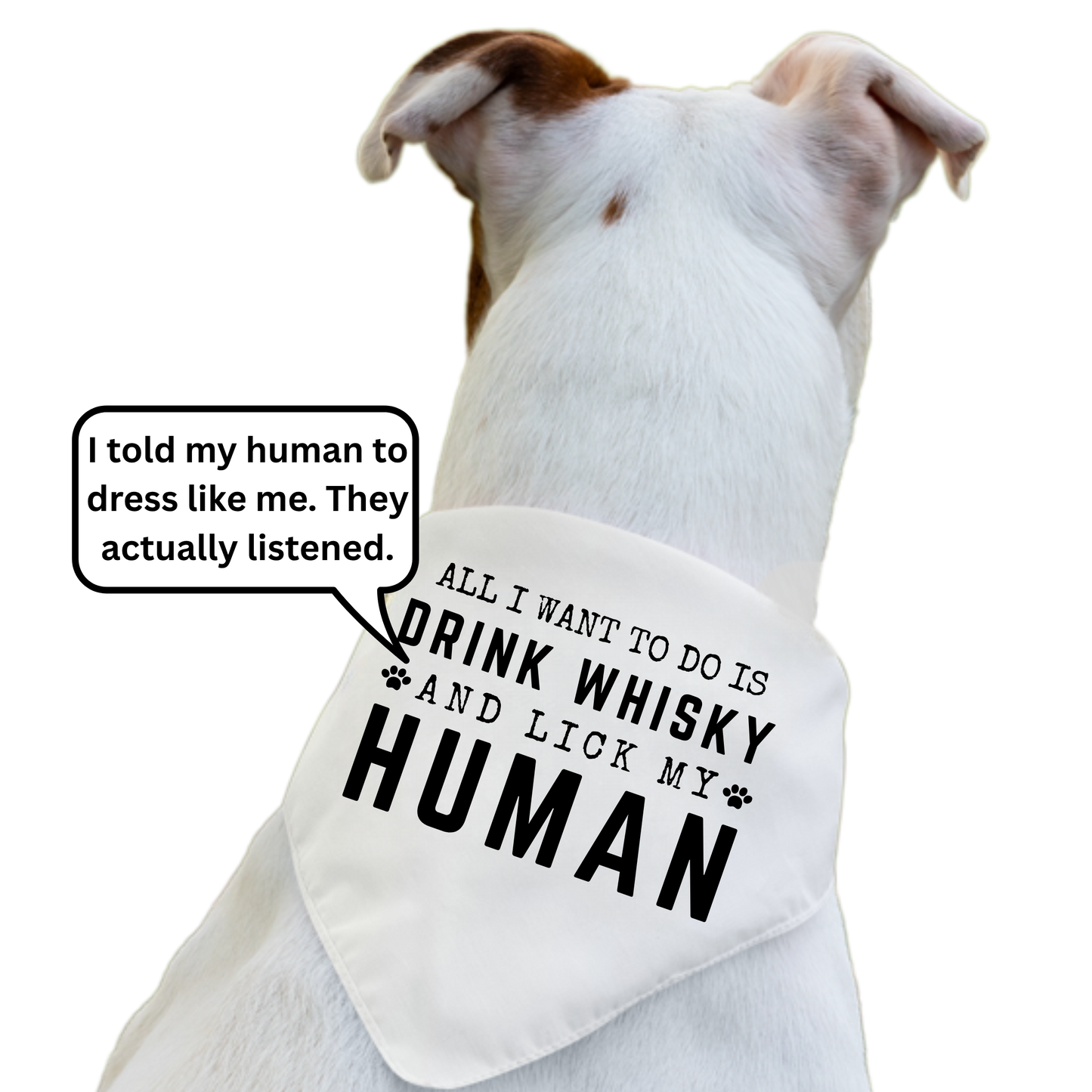 All I Want To Do Is Drink Whisky and Lick My Human - Boxer Dog Pet Bandana